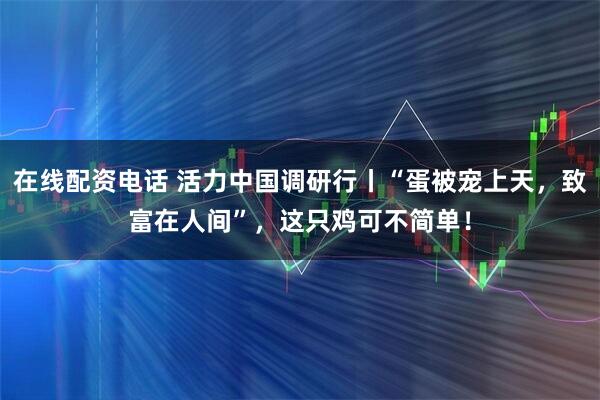 在线配资电话 活力中国调研行丨“蛋被宠上天，致富在人间”，这只鸡可不简单！